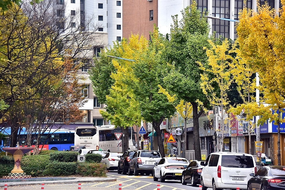 大邱中區街景 大邱中區街景