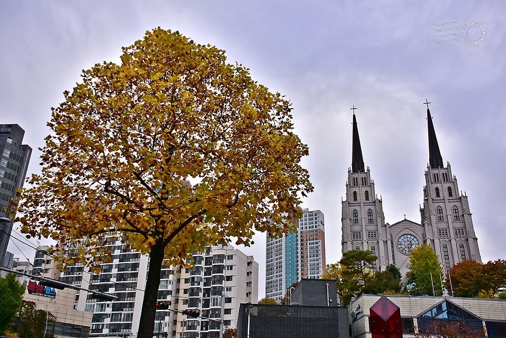 大邱第一教會新堂 大邱第一教會新堂