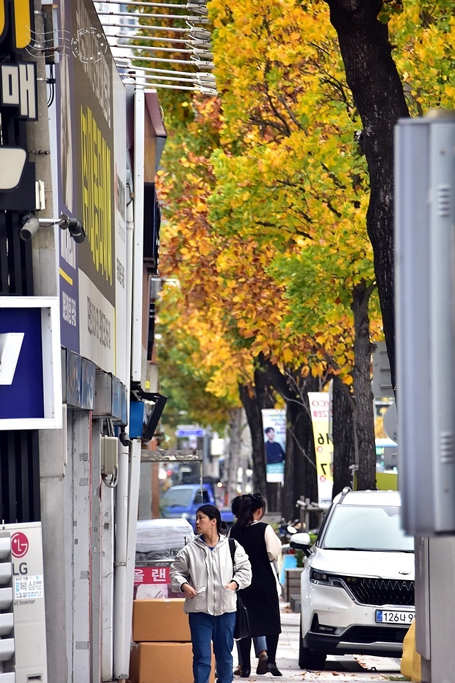 大邱中區街景 大邱中區街景