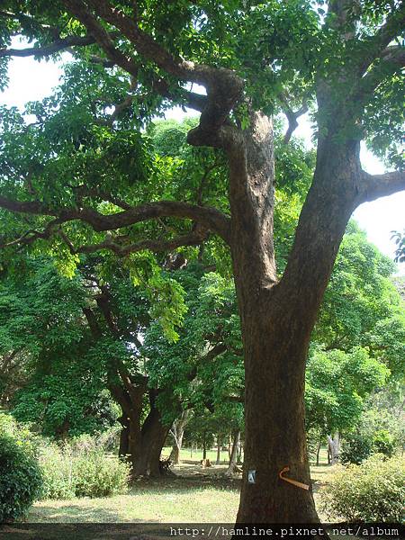 021..屏東墾丁國家公園..2009年3月