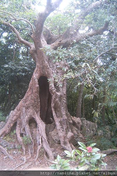 030..屏東墾丁國家公園..2009年03月