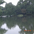 008..杭州西湖..綠樹柳影..2010年10月.jpg
