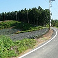 03-鄉道路上.JPG