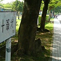 06-光華十路.JPG