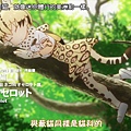 [DHR][Kemono Friends][02][BIG5][720P][AVC_AAC][22-32-40].JPG