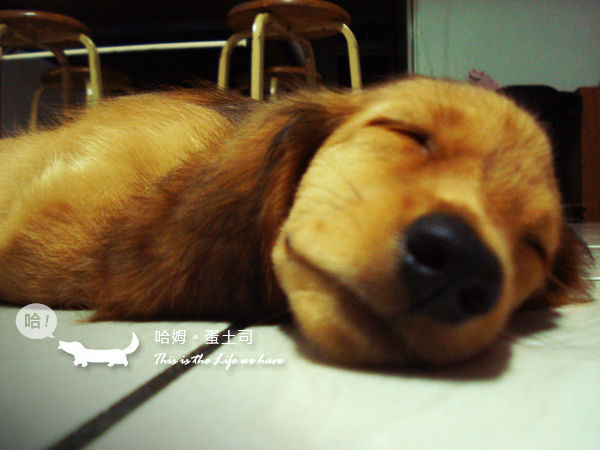 ZZZ ZZZ