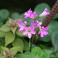 IMG_3836ss.jpg