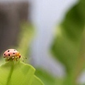 IMG_3938ss.jpg