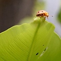 IMG_3943ss.jpg