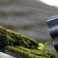 IMG_3970ss.jpg