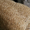 IMG_4081ss.jpg