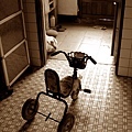 IMG_4087s-03s.jpg