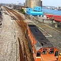 P1100832ss.jpg