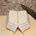 IMG_5972ss.jpg