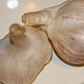 IMG_5982ss.jpg