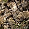 P1130626ss.jpg