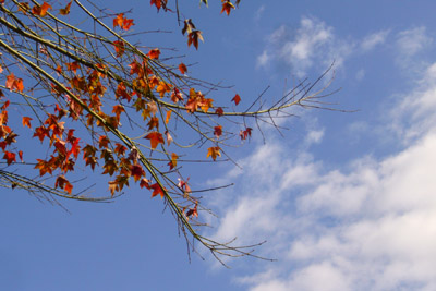 P1130959ss.jpg