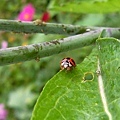 P1140245ss.jpg