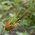 P1140252ss.jpg