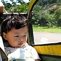 IMG_6334ss.jpg