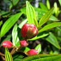 IMG_6347ss.jpg