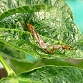 IMG_5544ss.jpg