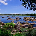 20110729-DSC_9128.jpg