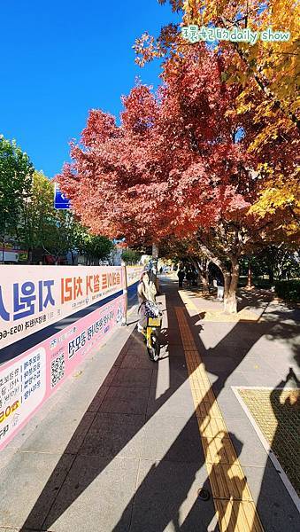 <韓國大邱>市區景點-國債報償運動紀念公園