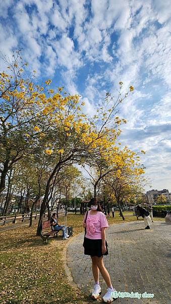 <台中景點>風鈴木花季美不勝收的廍子公園