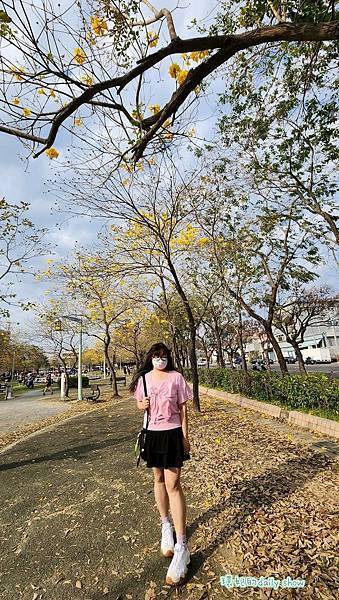 <台中景點>風鈴木花季美不勝收的廍子公園
