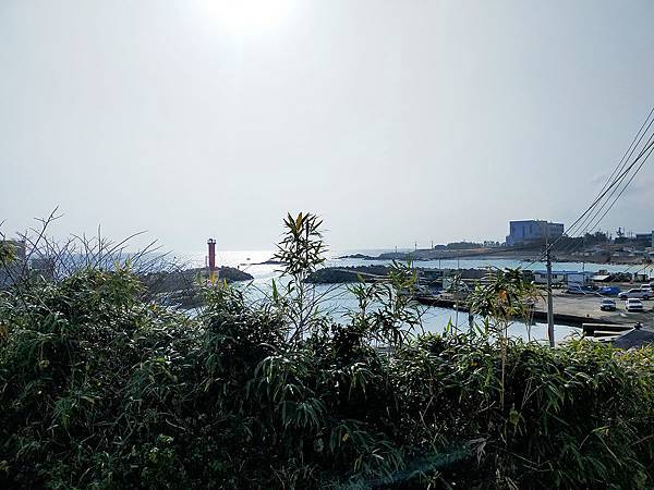 【112年：大邱+浦項-第三天】相生之手、山茶花開時拍攝地(