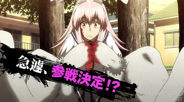 牙鬥獸娘 公佈角色pv第3彈 這只兇萌的兔子你喜歡嗎 動漫天下世界 痞客邦