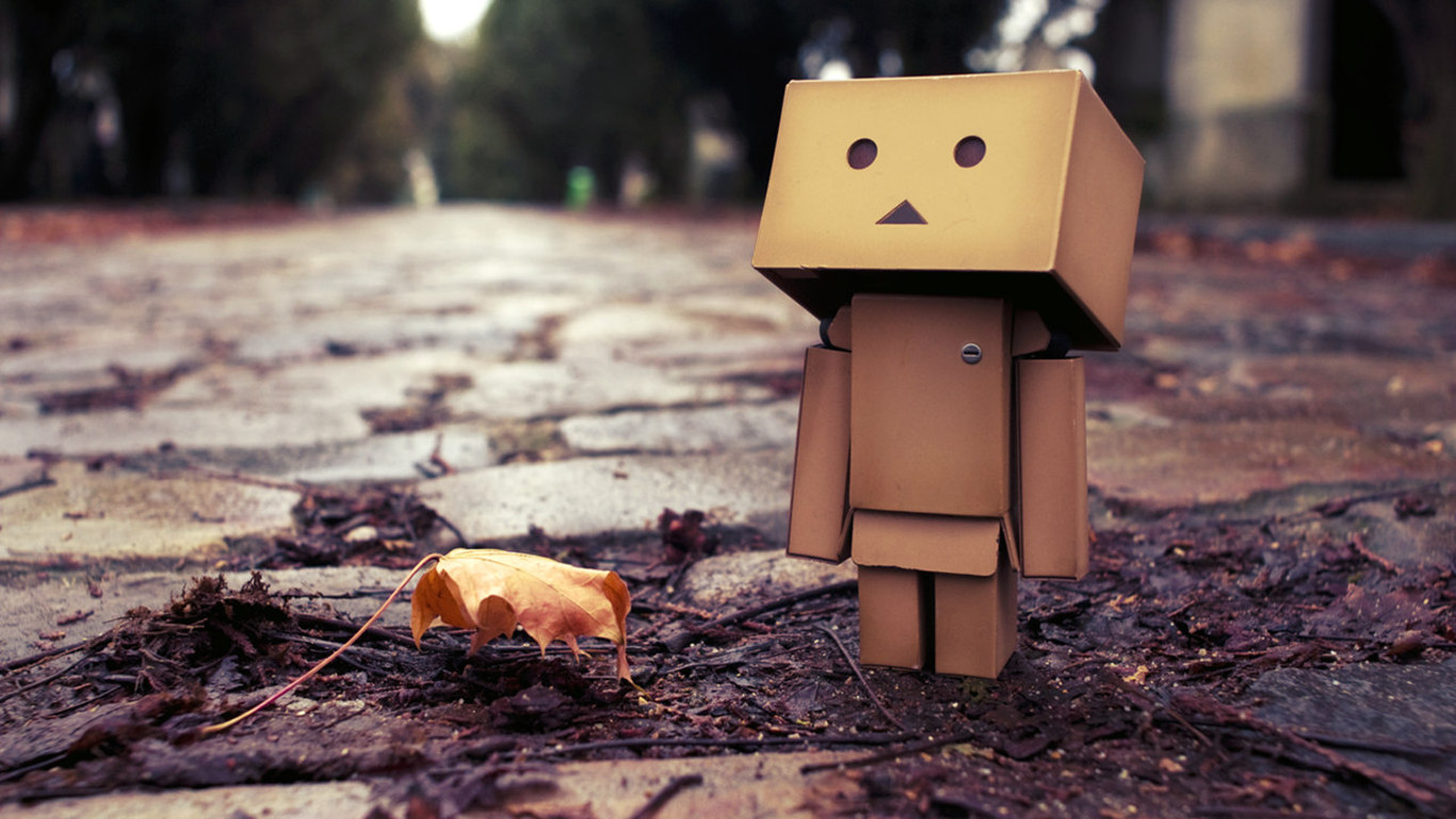 danbo010.jpg