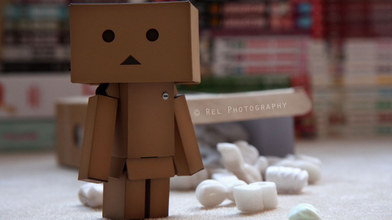 danbo021.jpg