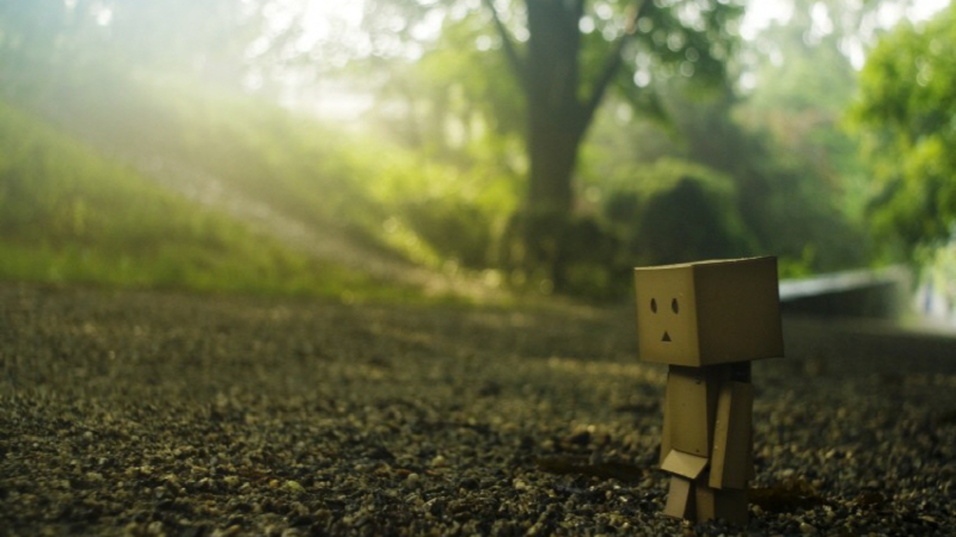 danbo047.jpg