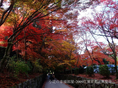 09紅葉京都 第五天 琴坂與興聖寺 小花の幸福部屋 痞客邦