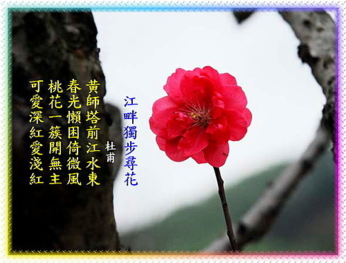 詩16