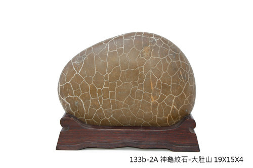 神龜紋石