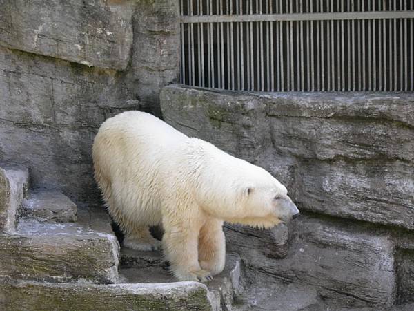 熊布倫宮動物園
