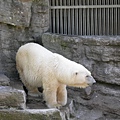 熊布倫宮動物園