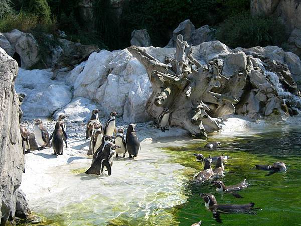 熊布倫宮動物園