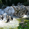 熊布倫宮動物園