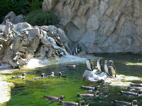 熊布倫宮動物園