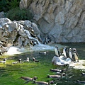 熊布倫宮動物園