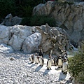 熊布倫宮動物園