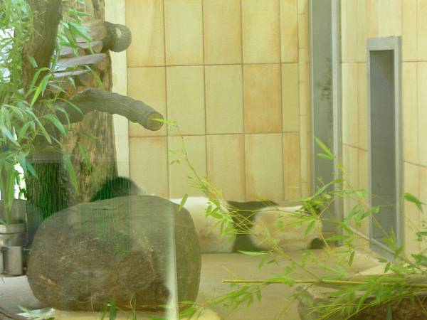 熊布倫宮動物園