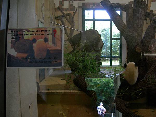 熊布倫宮動物園