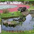 43.jpg