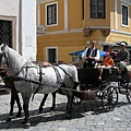 DSCN7971.JPG