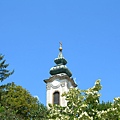 DSCN7943.JPG